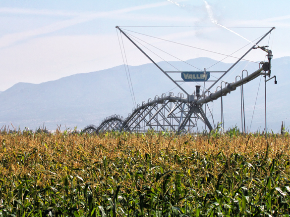 A linear irrigation system in use in the Colorado River Basin.
